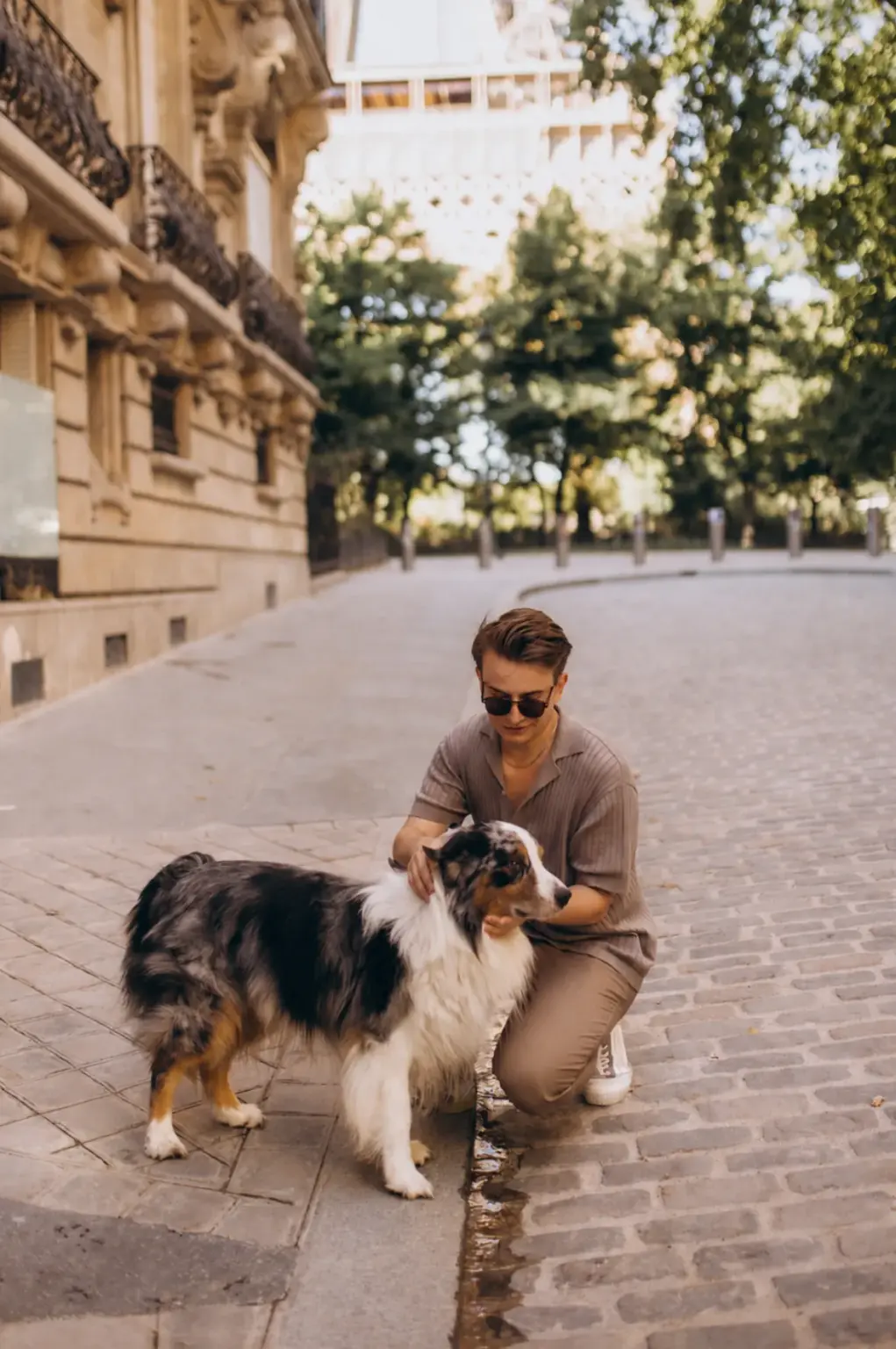 A young man kneeling to greet an Australian shepherd on a quiet cobblestone street in Paris in the summer light.
