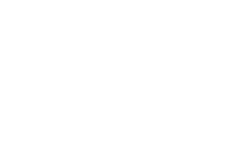 Julia Litvin Photographer